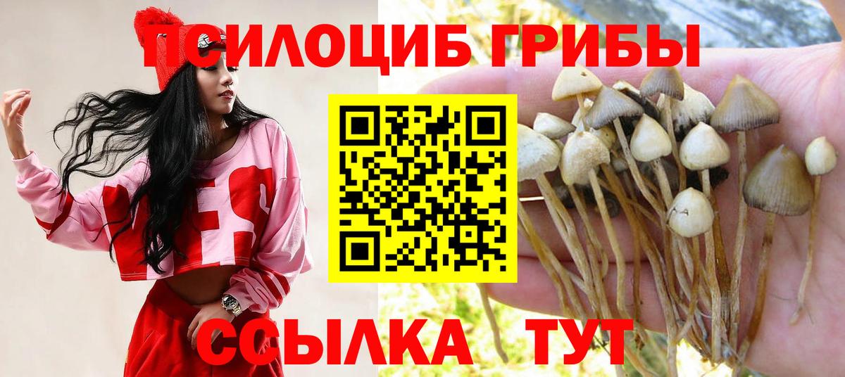 Псилоцибиновые грибы ЛСД  Галлюциногенные грибы Magic Shrooms  Медногорск  Вход с VPN 